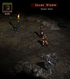 fight with Chaos Widow