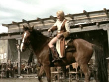 horse-lust